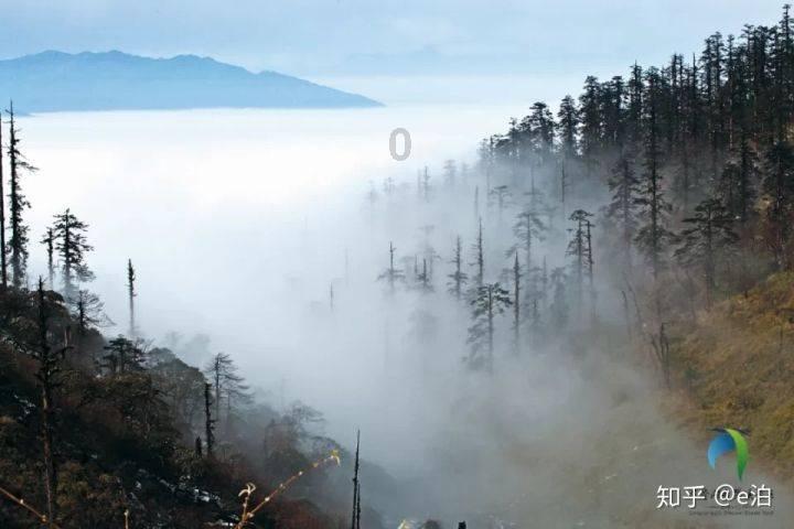 【天眼问政】路灯半年多不亮 市民出行不便心慌慌